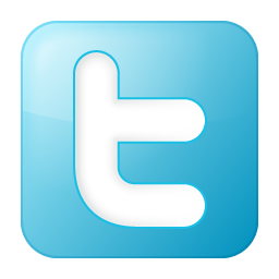 a social media primer for b2b websites